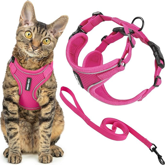 Best Pet Supplies Voyager Escape Proof Cat Harness and Leash Set with Reflective Stitching, Neoprene Handle 5ft - Supports Small, Medium and Large Cats, Kittens - Fuchsia, M (Chest: 16.5-19.5")