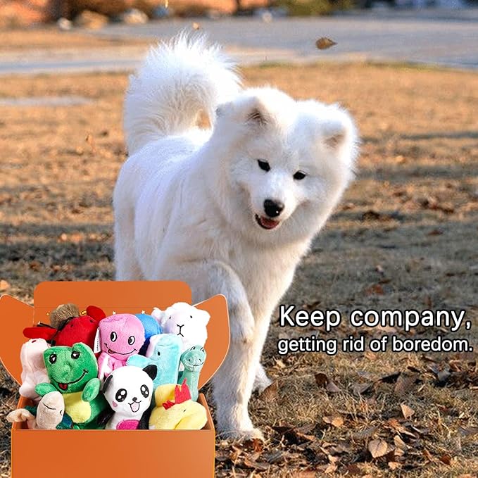 LEGEND SANDY Squeaky Plush Dog Toy Pack for Puppy, Small Stuffed Puppy Chew Toys 12 Dog Toys Bulk with Squeakers, Cute Soft Pet Toy for Small Medium Size Dogs