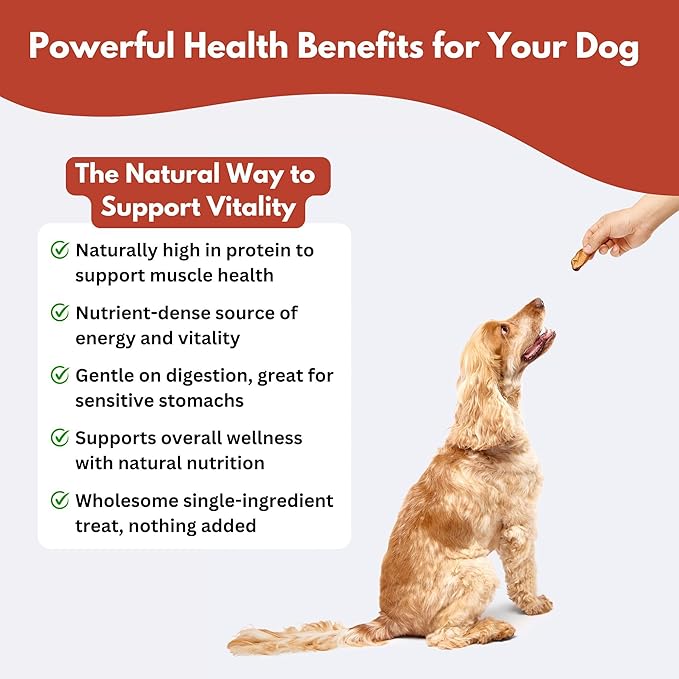 ALFIE'S TREATOS Beef Tripe for Dogs (2.65 oz), Air-Dried Dog Treats for Gut Support, Nutrient Rich Chew & Food Topper, Single Ingredient, Australian Beef, Freeze-Dried Alternative