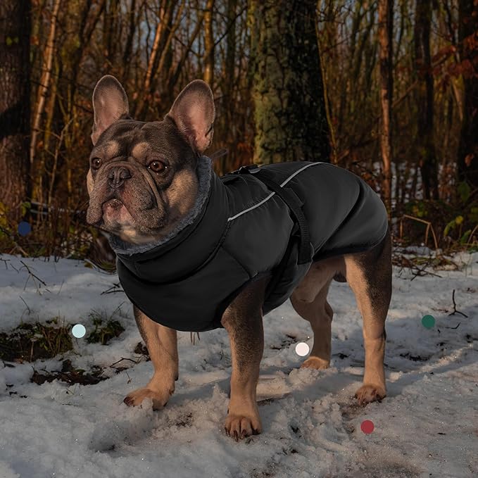 IECOii Extra Warm Dog Coat - Reflective, Adjustable Jacket with Buckle, Fleece Turtleneck for Cold Weather, Soft Winter Coat for Small to Extra Large Dogs