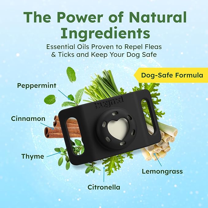 BugMD Paw Guardian Flea & Tick Pendant (3-Pack) with AirTag Holder – Plant-Based Flea & Tick Prevention for Dogs – Pet Collar Tag & GPS Tracker Holder for Dogs – Black