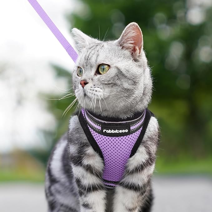 rabbitgoo Cat Harness and Leash Set for Walking Escape Proof, Adjustable Soft Kittens Vest with Reflective Strip for Cats, Comfortable Outdoor Vest, Light Purple, XL