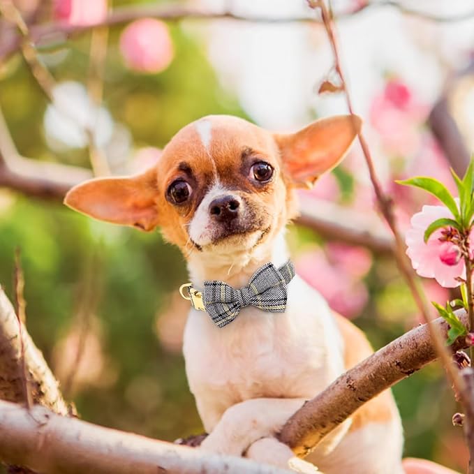 Beirui Cute Extra Small Dog Harness Collar and Leash Set with Bowtie, Soft Adjustable Plaid Puppy Harness for Small Sized Dogs Cats Walks Parties and Photoshoots(Gray,XXS:Chest 12-14")