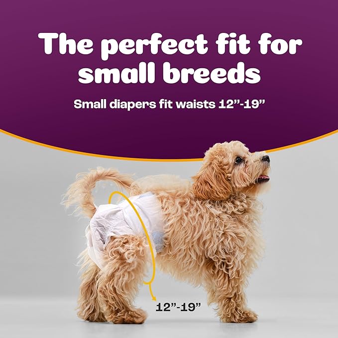 Inspire Pet Care Dog Diapers Female Dogs | Bulk Value Doggie Incontinence, Accidents, for Heat, Pee or Period and Housebreaking (Small (50 Count))