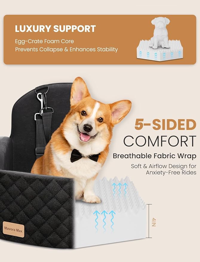 (Up to 35lbs Small/Medium Dog Car Seat Booster Dog Seat for Car Portable with Adjustable Seatbelts Pet Travel Car Bed Seat for SUV, Truck, with Memory Foam Cushion (Black)