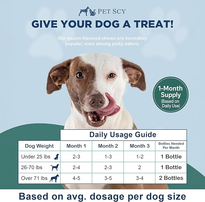 PetScy Itch & Allergy Plus Chews for Dogs Itchy Skin, Ears & Paws | Probiotics, Moringa & Turmeric | for Skin Redness, Hair Loss Gut & Digestive Health - Bacon Flavor - 60 Chews (Pack of 3)