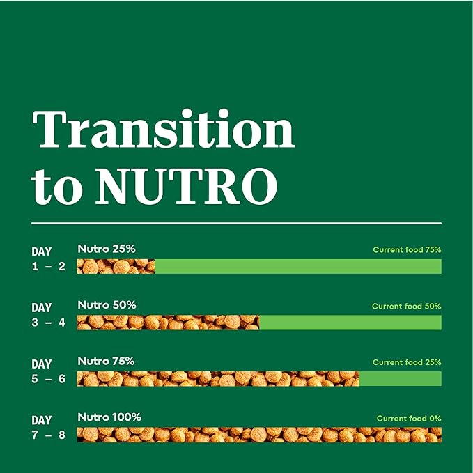 Nutro Natural Choice Adult Dry Dog Food, Beef and Brown Rice Recipe, 4.5 lbs