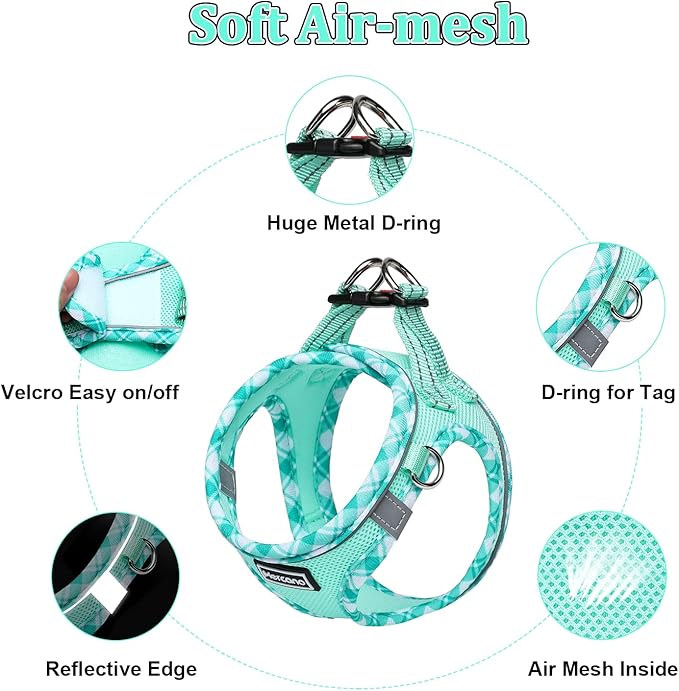 Mercano Soft Mesh Dog Harness and Leash Set, No-Chock Step-in Reflective Breathable Lightweight Easy Walk Vest Harnesses with Safety Buckle for Small Dogs, Cats (Light Green, S)