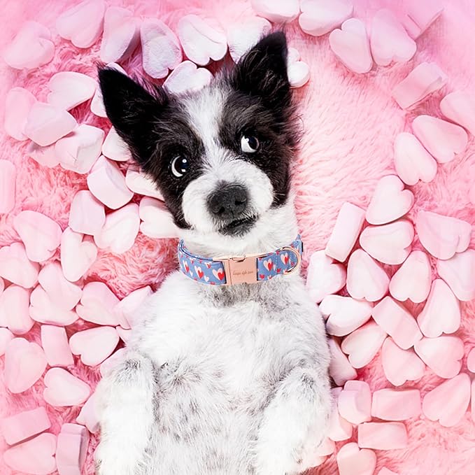 Unique style paws Valentine's Day Dog Collar Metal Buckle Collar Blue Pink Love Heart Gift for Small Medium Large Boys Girls Dogs Wedding