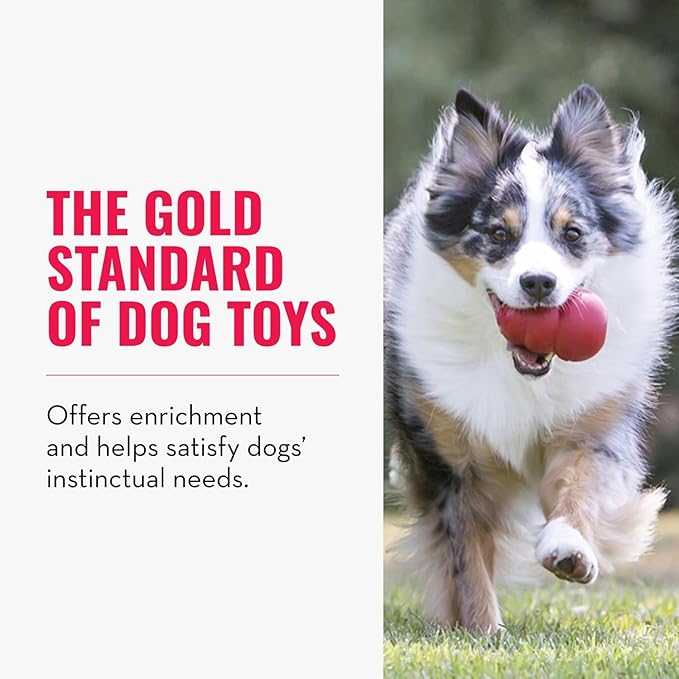 KONG Classic Stuffable Dog Toy - Fetch & Chew Toy for Dogs - Treat-Filling Capabilities & Erratic Bounce for Extended Play Time - Durable Natural Rubber Material - for Small Dogs