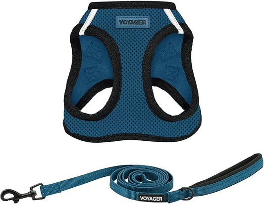 Voyager Step-in Air All Weather Mesh Harness and Reflective Dog 5 ft Leash Combo with Neoprene Handle, for Small, Medium and Large Breed Puppies by Best Pet Supplies - Blue/Black Trim, Medium