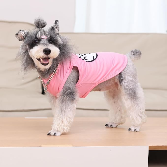 CuteBone Dog Shirts 2-Pack Soft Pet Clothes Breathable Summer Vest for Small Puppy and Stretchy Cat Apparel 2BX21M-D