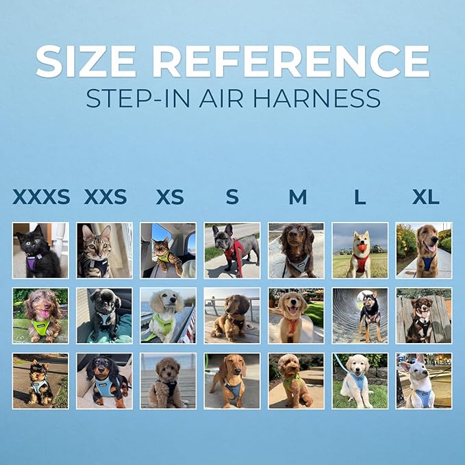 Voyager Step-in Air All Weather Mesh Harness and Reflective Dog 5 ft Leash Combo with Neoprene Handle, for Small, Medium and Large Breed Puppies by Best Pet Supplies - Blue/Black Trim, Medium