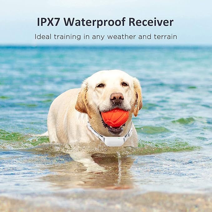 PATPET Dog Training Collar with Remote - Electric Dog Shock Collar for Small Medium Large Dogs - 3 Adjustable Safe Modes, Rechargeable Waterproof E Collar for Dogs (8-120 lbs)