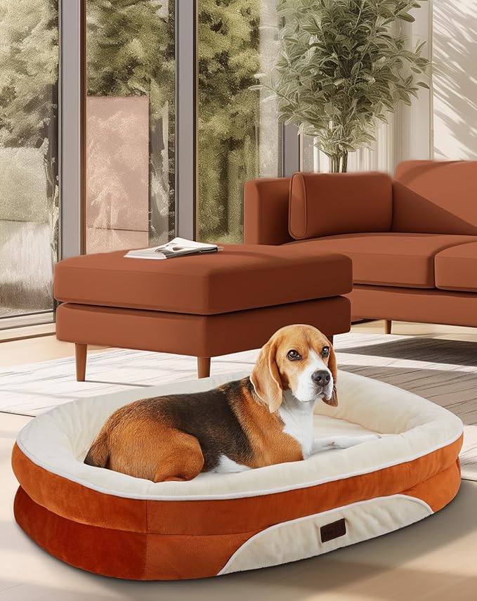 OhGeni Orthopedic Dog Couch Pet Sofa Large Sized Cat Beds with Comfort Foam Support, Soft Comfortable Fabric, Machine Washable Waterproof Removable Cover, 35-Inch (Orange)
