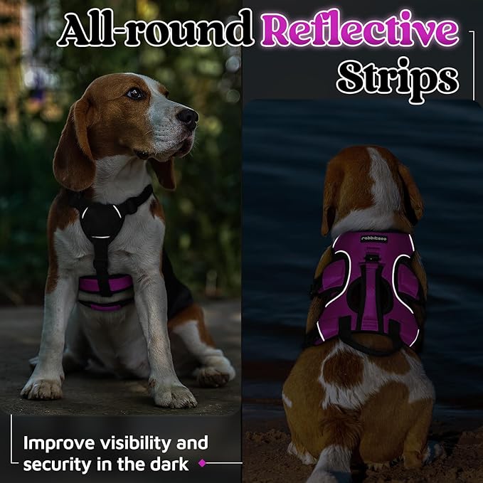 rabbitgoo Escape Proof Dog Harness, Soft Padded Full Body Pet Harness, Reflective Adjustable No Pull Vest with Lift Handle and Lesh Clip for Large Dogs Walking Hiking Training, S, Purple