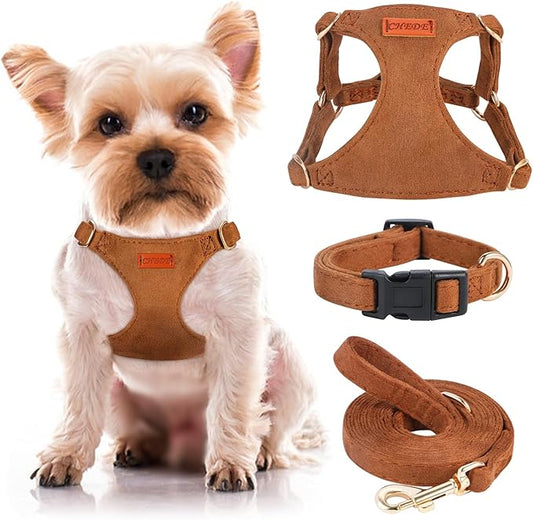 No Pull Dog Harness- Lightweight, Soft, Adjustable Small Harness Collar and Leash Set, Suitable for Cats Puppy Small and Medium-Sized Dog Outdoor Training and Running