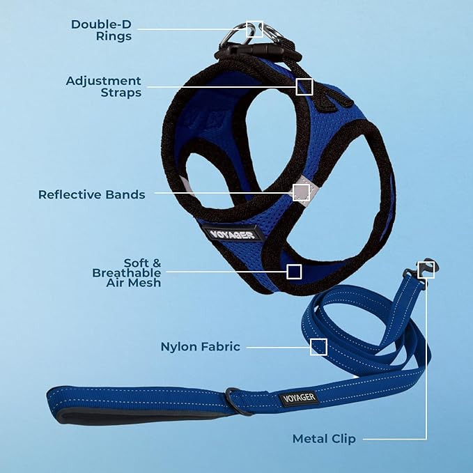 Voyager Step-in Air All Weather Mesh Harness and Reflective Dog 5 ft Leash Combo with Neoprene Handle, for Small, Medium and Large Breed Puppies by Best Pet Supplies - Royal Blue/Black Trim, X-Small