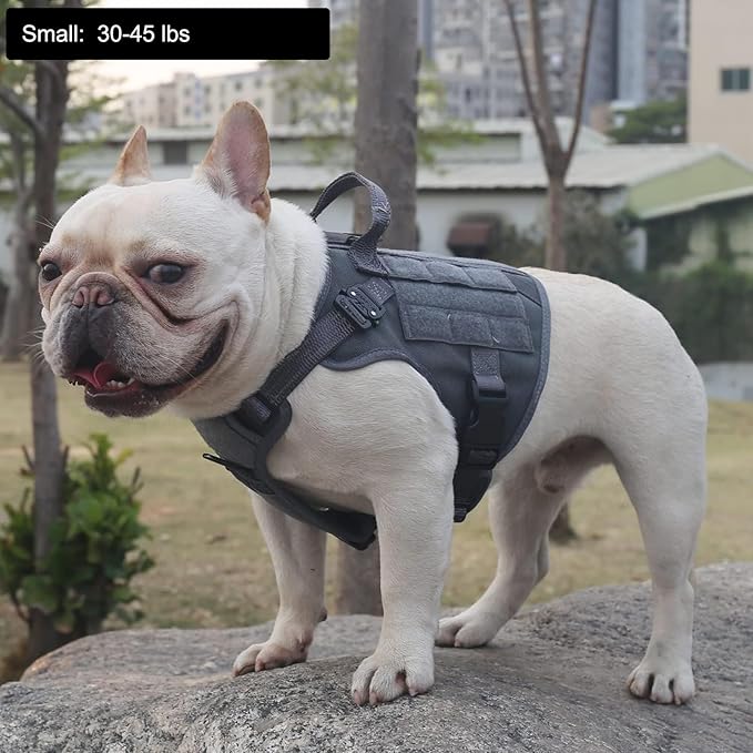 ICEFANG Tactical Dog Harness, Small Size,2X Metal Buckle,Working Dog MOLLE Vest with Handle,No Pulling Front Leash Clip,Hook and Loop Panel (Grey,S (Pack of 1))