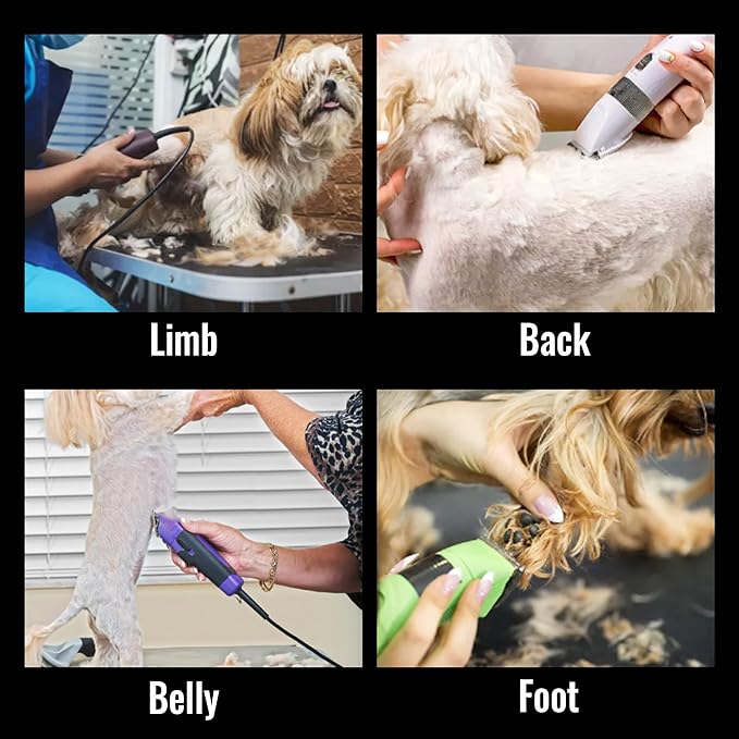 FENICE PEAK 5FC Low Noise Pet Dog Grooming Clippers Replacement Blade Ceramic Edge Detachable Steel Pet Clipper Blade with Cutting Length of 6.4mm 1/4'' (1 Count)