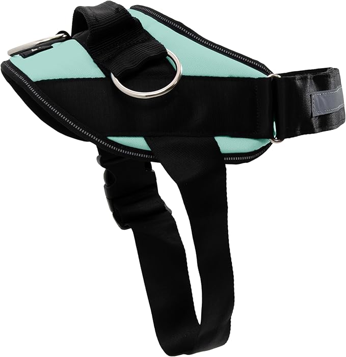 ShawnCo Essential Dog Harness, No-Pull Pet Vest with 3 Leash Clips, No Choke, Reflective, Adjustable and Padded, for Easy Walking and Training for Small, Medium and Large Dogs (Seafoam, XL)