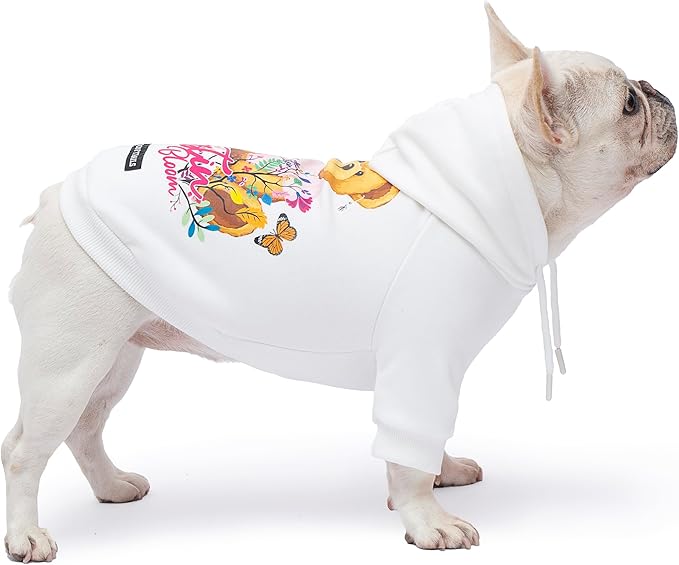 Blooming Teddy Dog Hoodie Dog Clothes Extra Warm Fleece Lining Stretchy Fit for Small Dogs (White, Medium)
