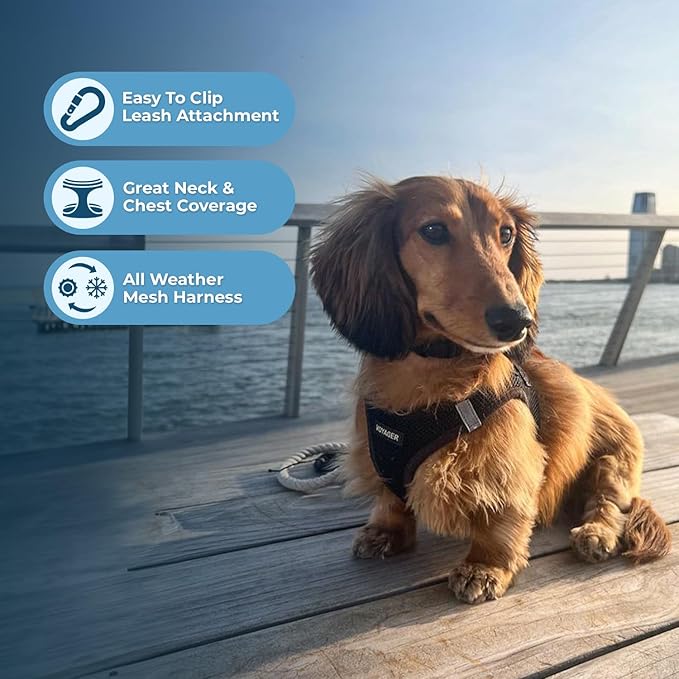 Voyager Step-in Air All Weather Mesh Harness and Reflective Dog 5 ft Leash Combo with Neoprene Handle, for Small, Medium and Large Breed Puppies by Best Pet Supplies - Set (Black), L