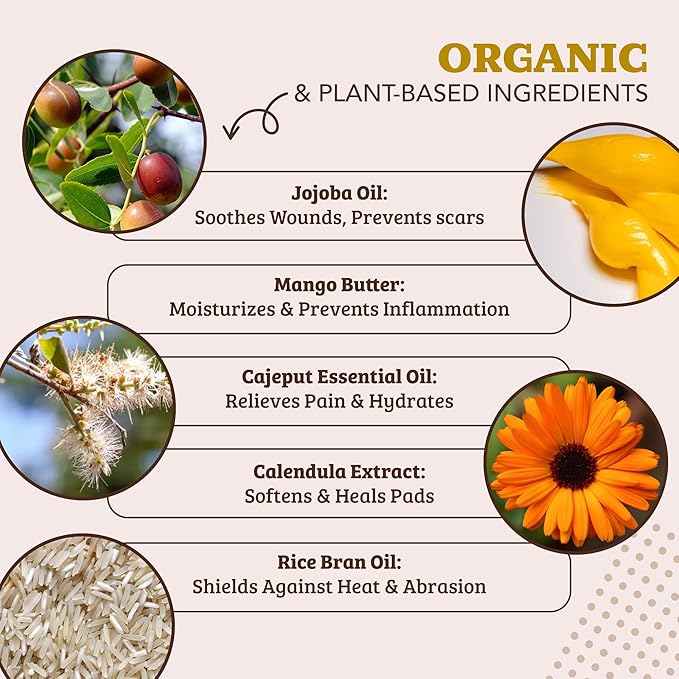 Natural Dog Company PawTection Balm 1 oz Tin – Dog Paw Protection with Shea Butter & Calendula – Shields Paws from Snow, Ice, Salt, Hot Pavement & Rough Terrain – Lick-Safe, All Breeds