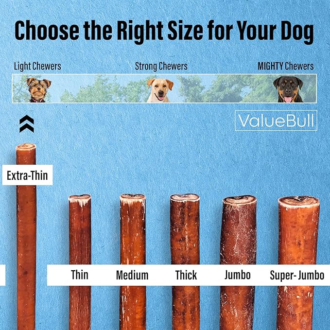 ValueBull Bully Sticks for Small Dogs, Extra Thin 6 Inch, 100 Count Bulk Pack - All Natural, Grass Fed, Single Ingredient, Long Lasting Dog Treats