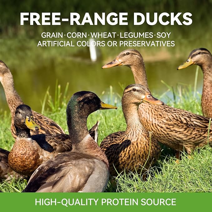 OPET Freeze Dried Cat & Dog Treats,Single Ingredient High Protein Grain Free Crunchy Cat Treats，Healthy Training Treats（Duck, 1.59 oz）