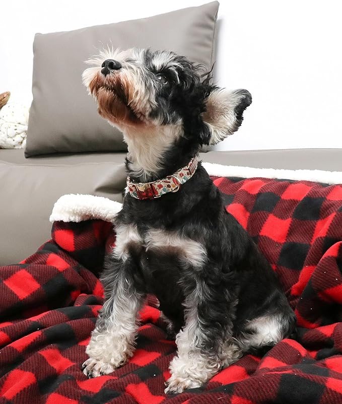 Unique style paws Halloween Dog Collar Metal Buckle Pumpkin Collar Gift Durable Cute Collar for Small Medium Large Boys Girls Dogs