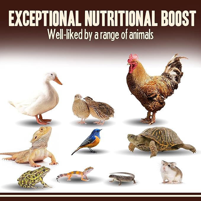 Dried Mealworms for Chickens, Birds, Hamster, Reptile and Turtle - Premium Non-GMO Treats with 55% Protein for Laying Hens - Organic Food for Wild Bird, Bluebirds, Robins, Cardinals. 5 Lb