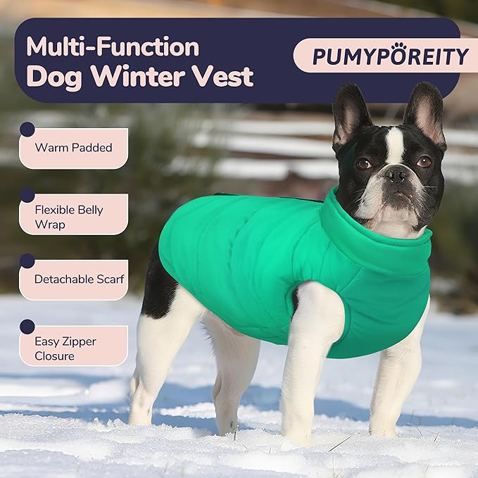 PUMYPOREITY Dog Puffer Coat with Detachable Scarf, Warm Padded Cold Weather Vest, Windproof Lightweight Snowsuit, Water Resistant Dog Winter Coats, Thermal Winter Jacket for Small Medium Large Dogs