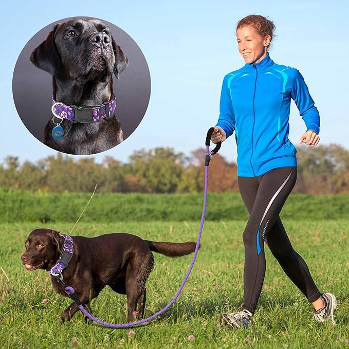 Reflective Dog Collar Padded with Soft Neoprene Breathable Adjustable Nylon Dog Collars for Small Medium Large Dogs (Small (Pack of 1), Purple/Pink Floral Collar+Leash)