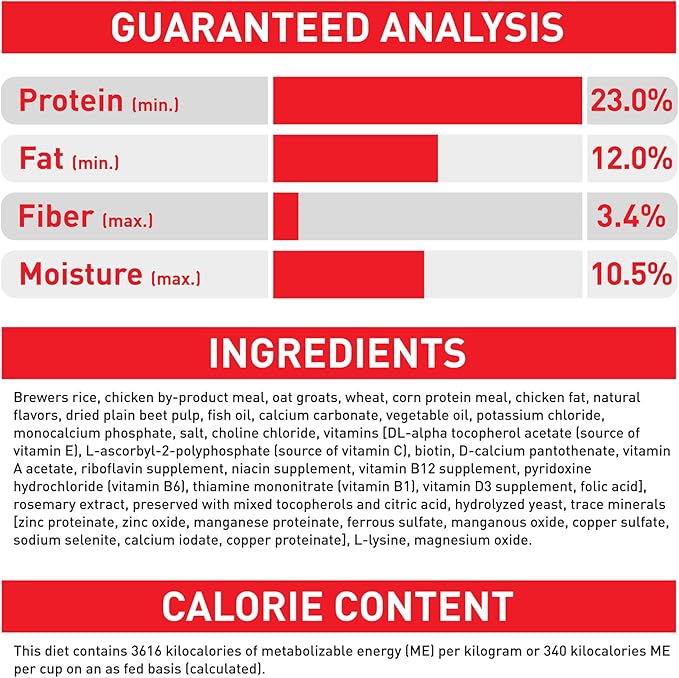 Royal Canin Size Health Nutrition Medium Adult Dry Dog Food, 4 lb Bag