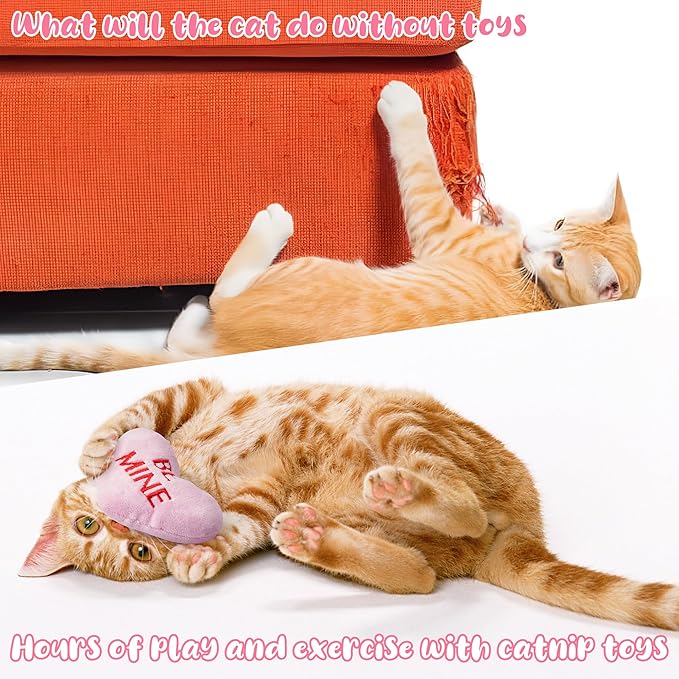 MALLMALL6 5Pcs Sweet Conversation Heart Catnip Toys Gift for Cat, Indoor Kitten Chew Bite Kick Candy Catmint Pet Supplies, Cute Interactive Cat Toy for Pet Presents