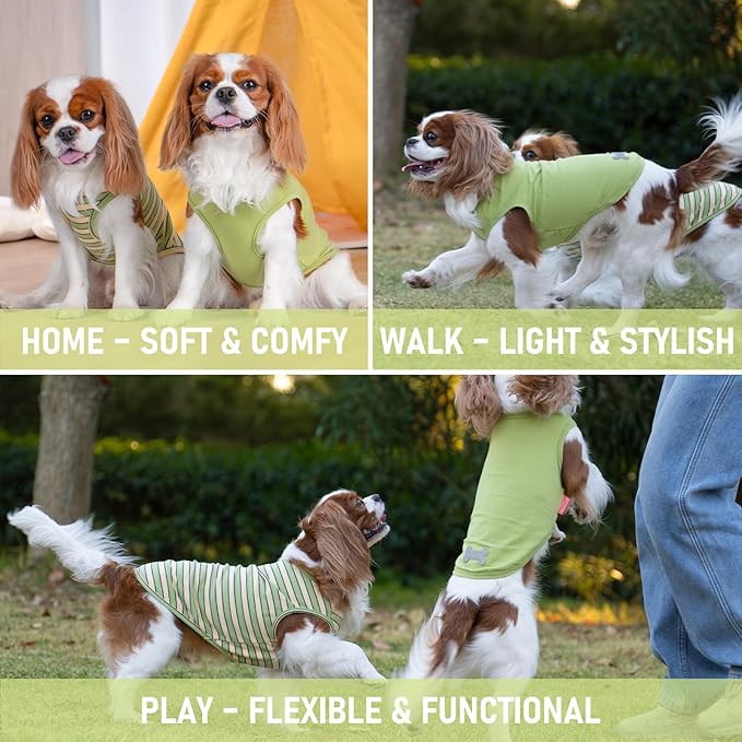 KYEESE 2Pack Dog Shirts Small Tee Soft for Small Dogs Striped T Shirt Lightweight Sleeveless Vest Cotton Tank Top Clothes, Large,Green+Striped