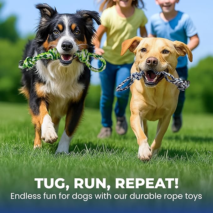 Dog Rope Toys, Heavy Duty Chew Toy for Large Dogs, 2-Pack Durable Tug of War Toys, 100% Cotton, Safe & Washable, Great for Teeth Cleaning, (Blue/White and Green/White/Green)