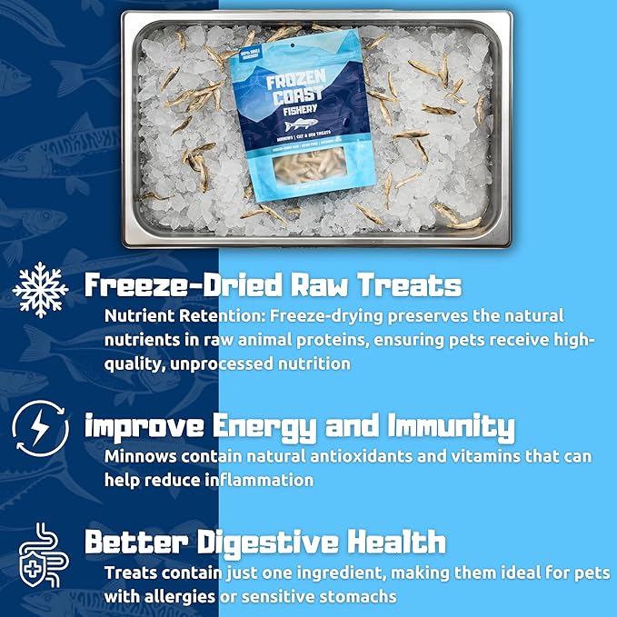 Frozen Coast Freeze-Dried Minnows Dog and Cat Treats -Single-Ingredient, All-Natural Fish, Grain-Free, High Protein Pet Treats, Sourced in The USA - 1 oz-Bag