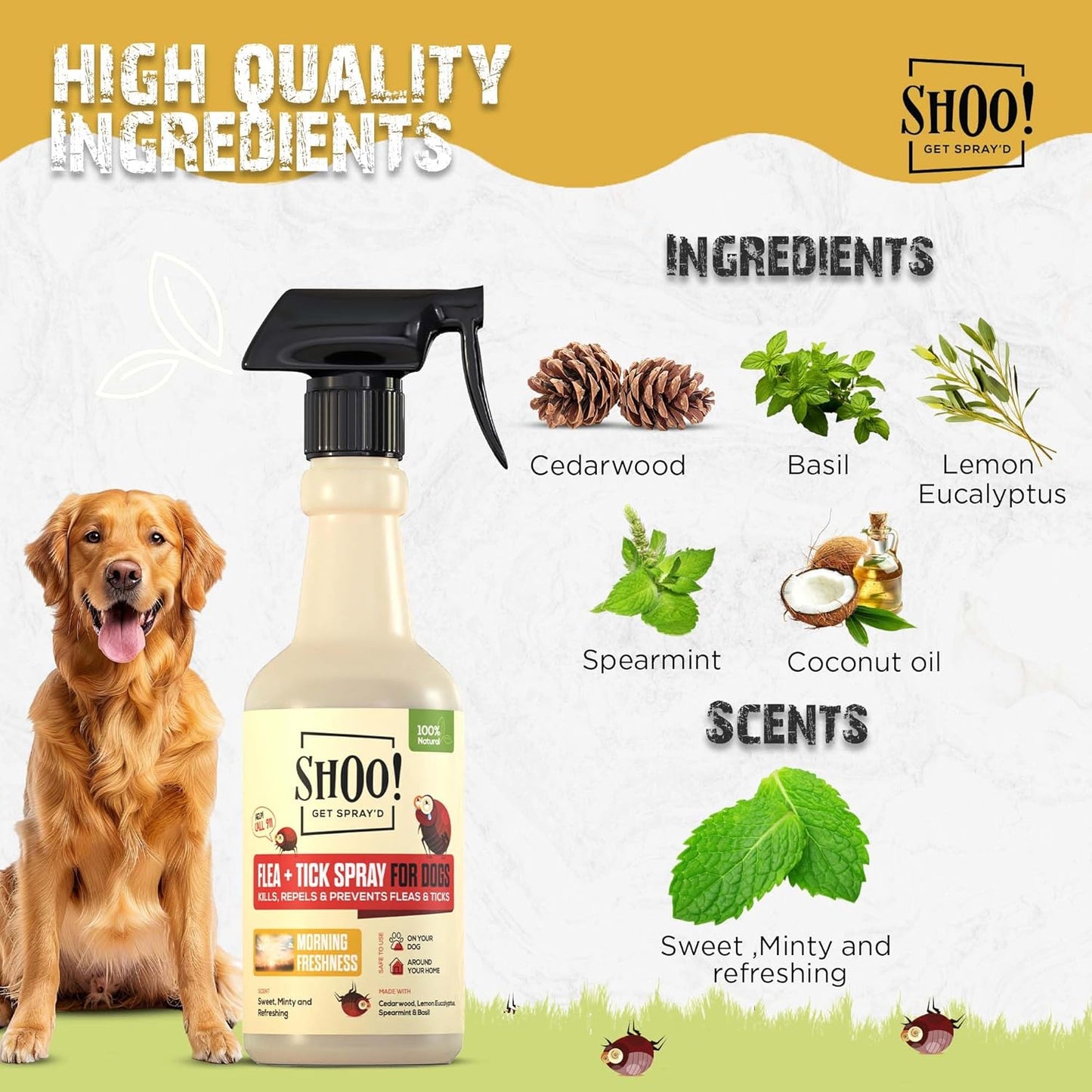 Shoo! Flea & Tick Spray for Dogs and Home | Plant Based, Natural Oils, Chemical Free Formula | Kills, Repels, Prevents | 16 oz (Morning Freshness)