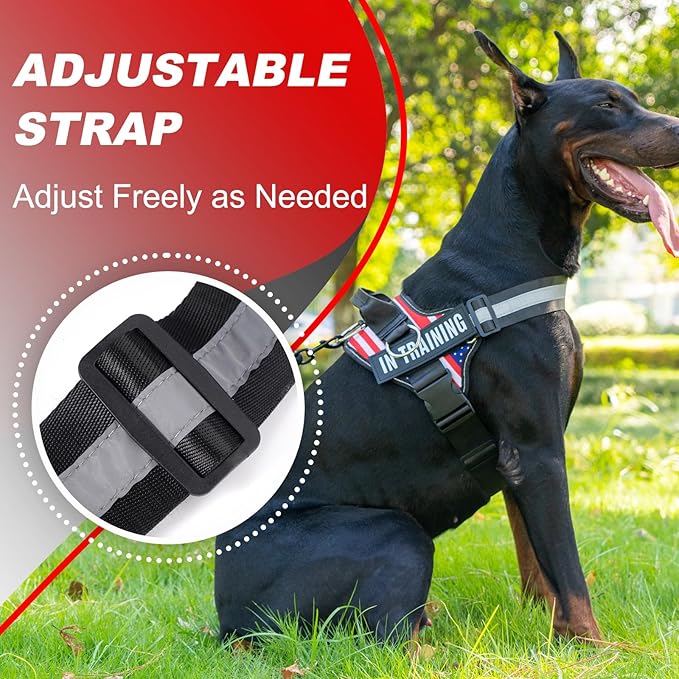 Essential Dog Harness with 3 Leash Clips - No-Pull, Adjustable, Comfortable Pet Vest Harness for Small to Large Dogs - Easy On, No Choke, Reflective, Padded Harness for Walking and Training
