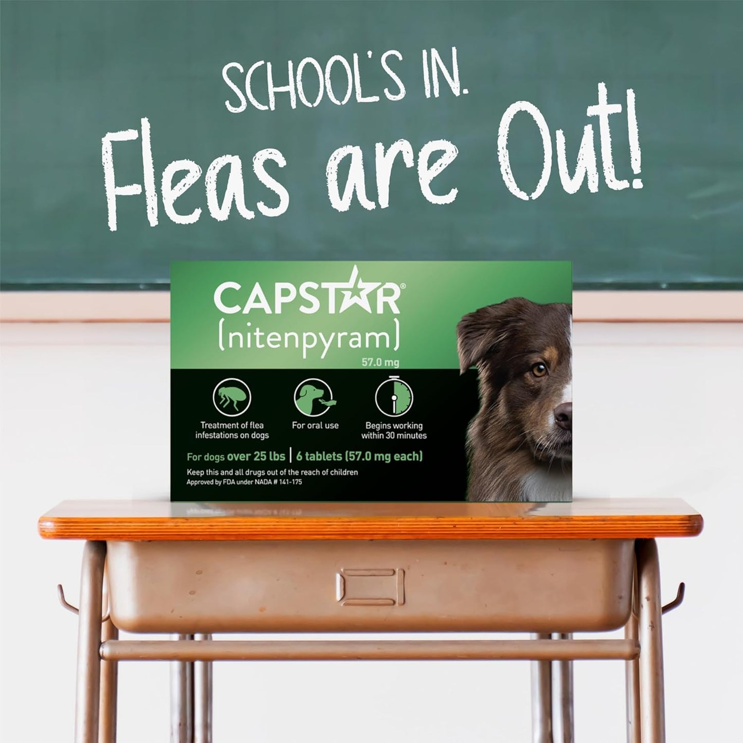 CAPSTAR Oral Flea Treatment for Dogs, Fast Acting Tablets Start Killing Fleas in 30 Minutes, Medium & Large Dogs (Over 25 lbs), 6 Doses