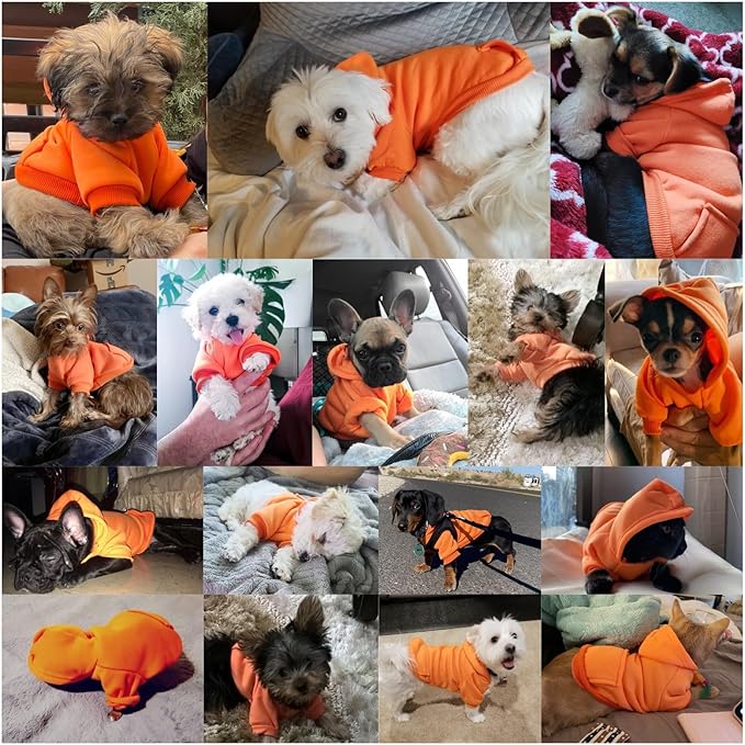 Jecikelon Winter Dog Hoodie Sweatshirts with Pockets Warm Dog Clothes for Small Dogs Chihuahua Coat Clothing Puppy Cat Custume (Orange, X-Large)