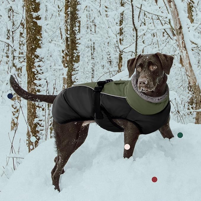 IECOii Extra Warm Reflective Dog Jacket Winter Coat with Buckle - Fleece Turtleneck for Small to Extra Large Dogs in Cold Weather