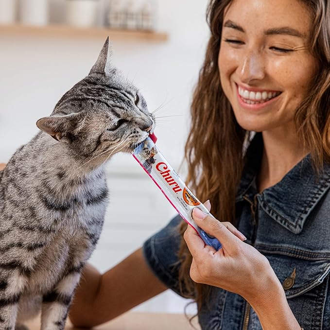 INABA Salmon Churu Cat Treats, Lickable, Squeezable Creamy Purée Cat Treat with Green Tea Extract & Taurine, 0.5 Ounces Each Tube, 24 Tubes (4 per Pack), Salmon Recipe