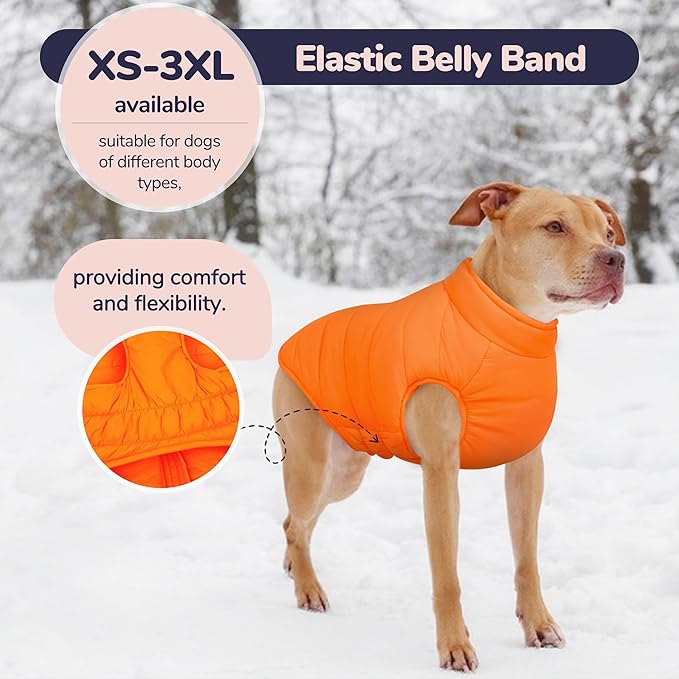 PUMYPOREITY Dog Puffer Coat with Detachable Scarf, Warm Padded Cold Weather Vest, Windproof Lightweight Snowsuit, Water Resistant Dog Winter Coats, Thermal Winter Jacket for Small Medium Large Dogs