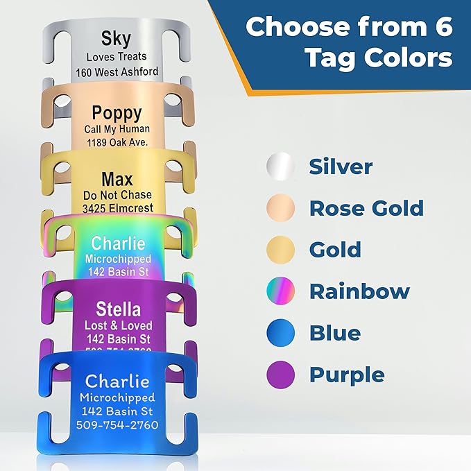GoTags Personalized Dog Collar with Nameplate, Adjustable Dog Collar with Custom Engraved Slide On Pet ID Tag in Stainless Steel, Silent, No Noise Dog Tag for Large Medium and Small (Blue, Large)