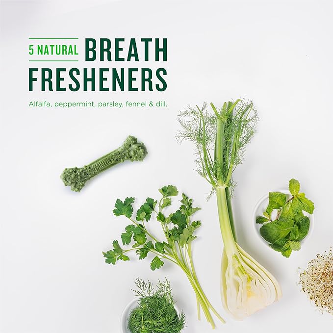 Minties Dental Chews for Dogs, 12 Count, Vet-Recommended Mint-Flavored Treats for Large Dogs Over 50 lbs, Dental Bones Clean Teeth, Fight Bad Breath, and Removes Plaque and Tartar