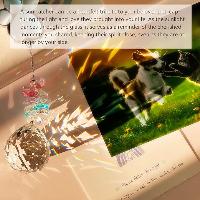 Dog Memorial Suncatcher - Loss of Dog Sympathy Gift, Pet Loss Bereavement Gift, Thoughtful Dogs Passing Away Remembrance, Pet Memory Rainbow Bridge Crystal Sun Catchers