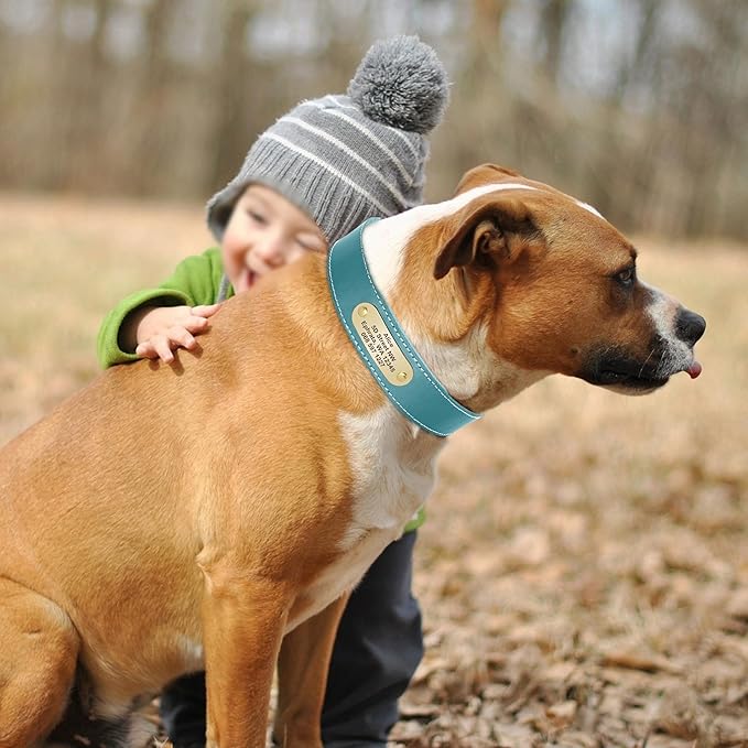 Didog Genuine Leather Dog Collars with Engraved Nameplate, Personalized Soft Leather Dog Collar with Custom ID Tag, Brown/Green/Red for Small Dogs (S,Blue)